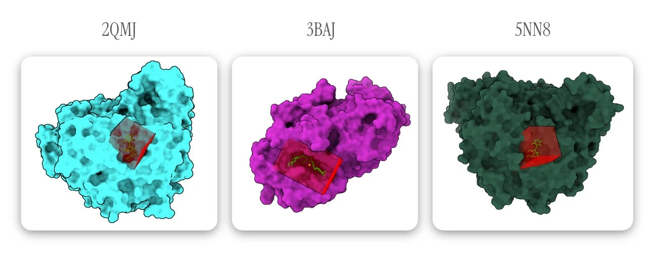 The docking targets 2QMJ, 3BAJ and 5NN8 as protein surfaces, each with the GNINA search box drawn in red around bound acarbose
