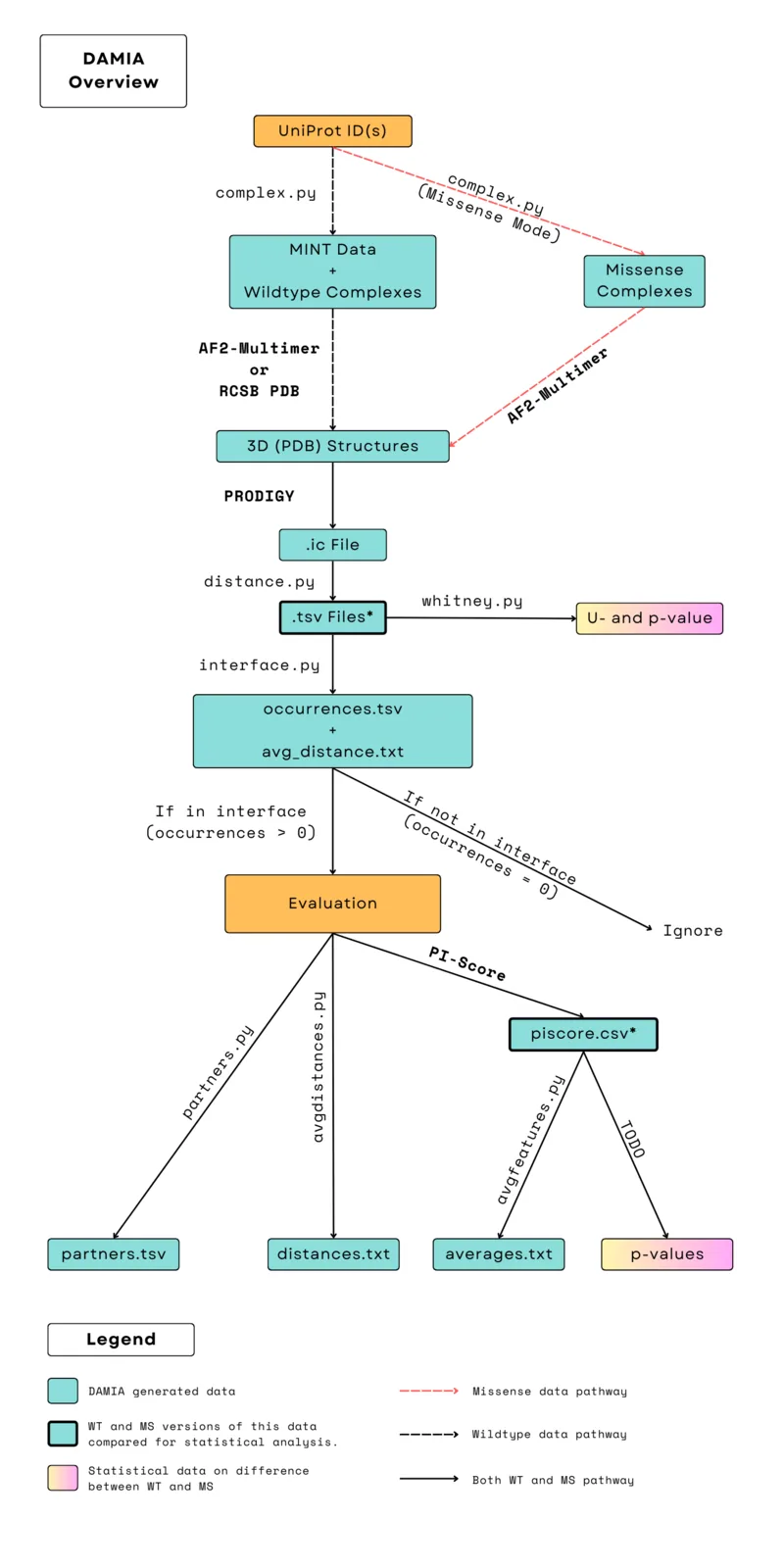 DAMIA overview: UniProt IDs lead to wild-type and missense complexes predicted with AlphaFold2-Multimer, then to interface, distance and PI-score outputs, with U-tests comparing wild-type and missense interfaces.