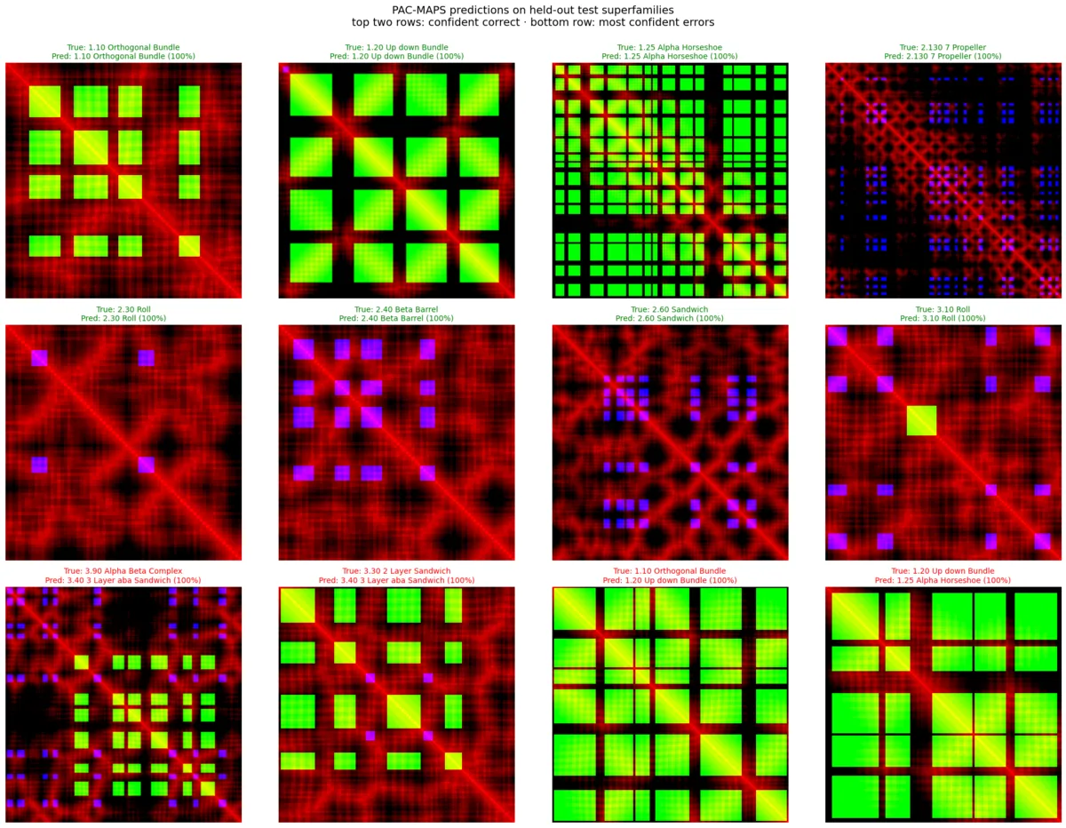 Twelve RGB contact maps from held-out test superfamilies, each labelled with its true and predicted CATH architecture. The top two rows are confident correct predictions, the bottom row the most confident errors.