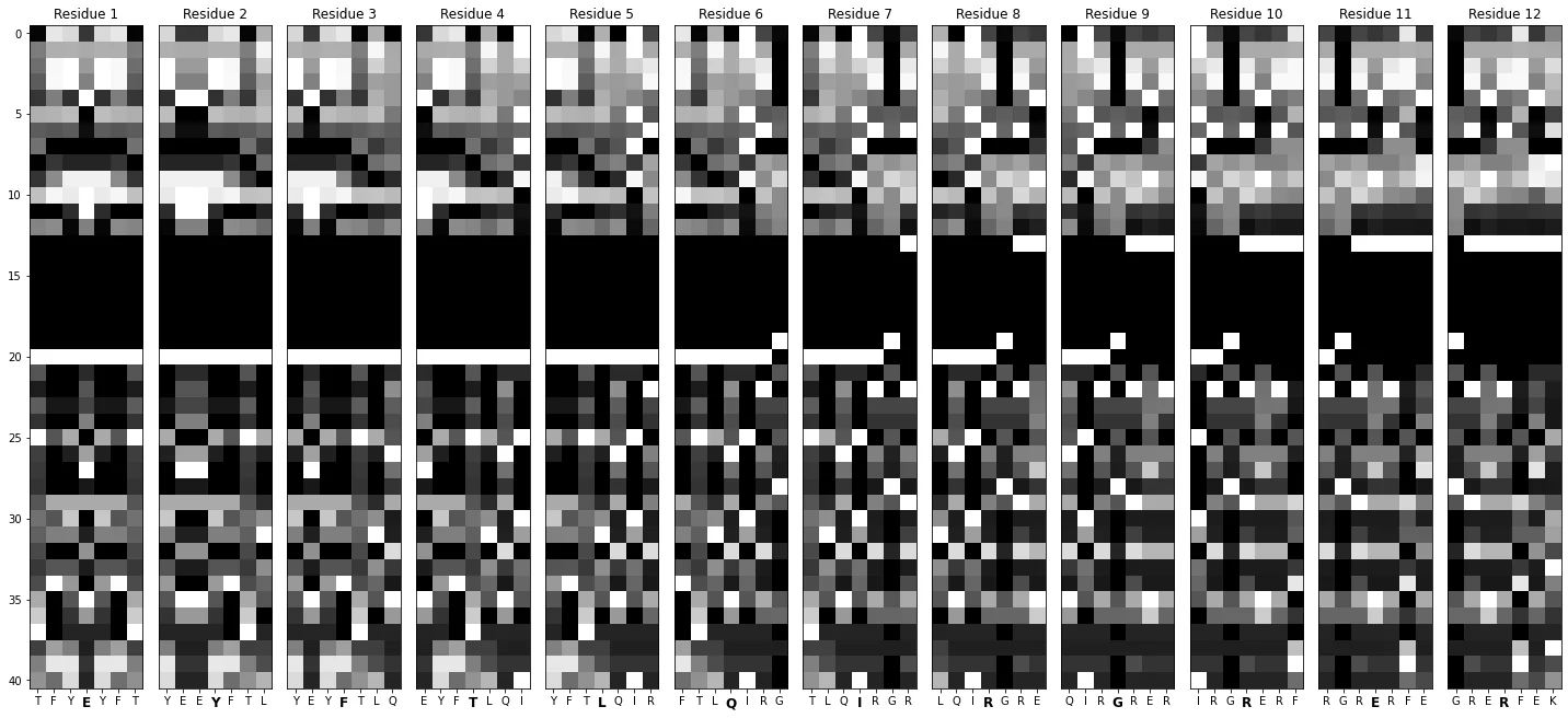 Twelve grayscale images from the PepBDB-ML image dataset, one per residue, each showing 41 features across a 7-residue window