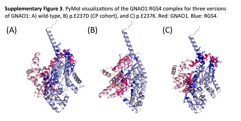 Figure comparing 3 protein complexes